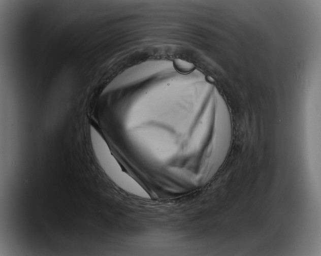 X0000087551013200705251736