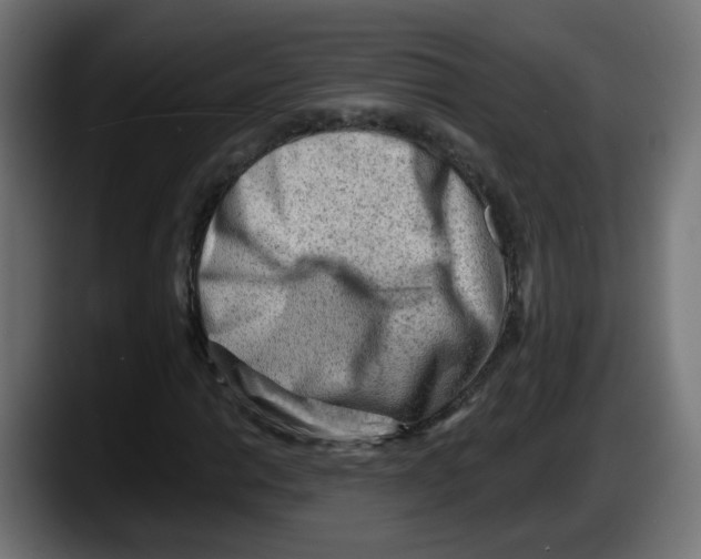 X0000087551014200705251736