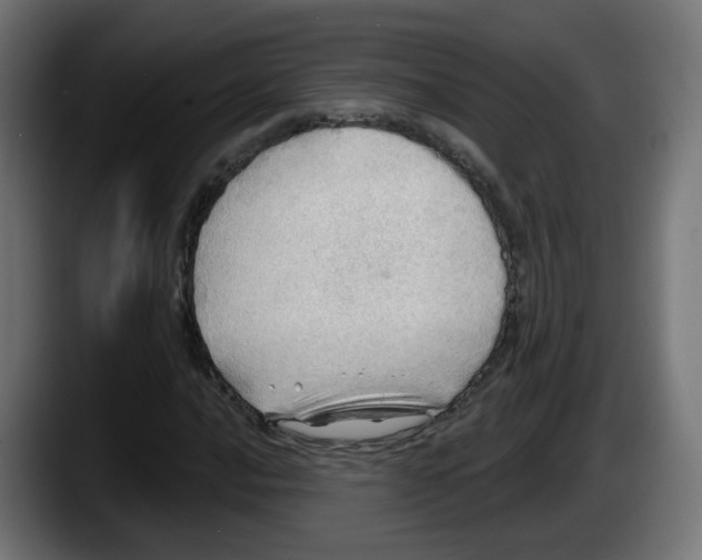 X0000087551016200705251736