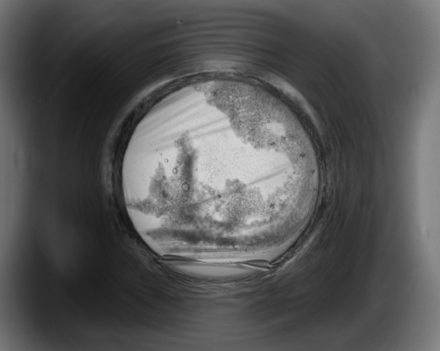 X0000087551019200705251736