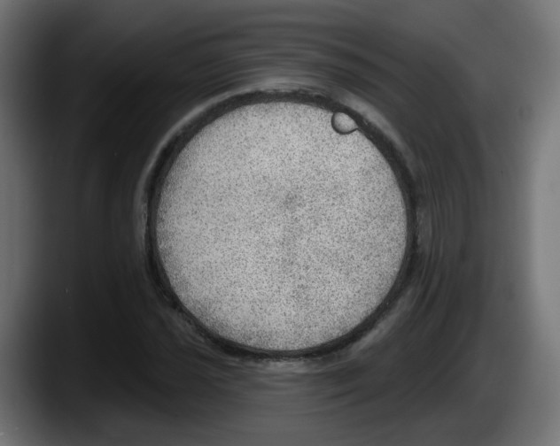 X0000087551021200705251736