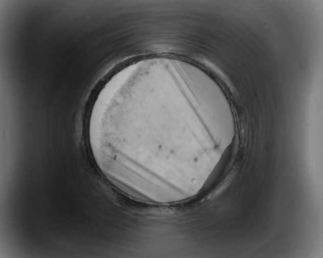 X0000087551023200705251736