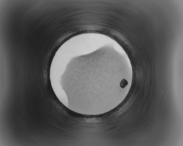 X0000087551025200705251736