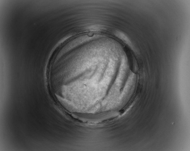 X0000087551026200705251736