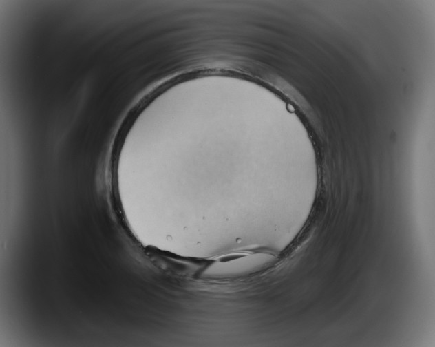 X0000087551028200705251736