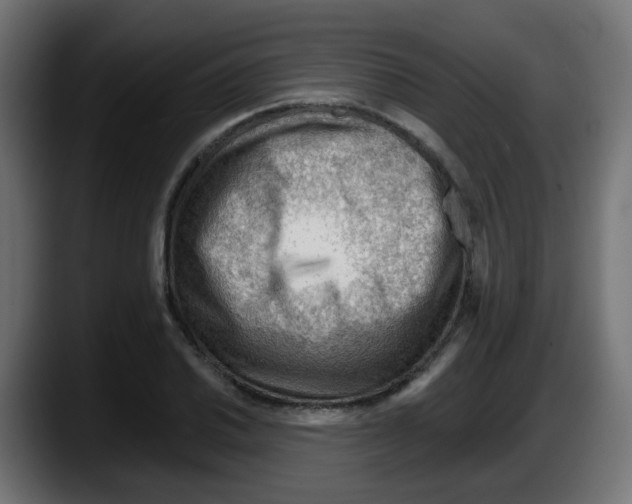 X0000087551030200705251736