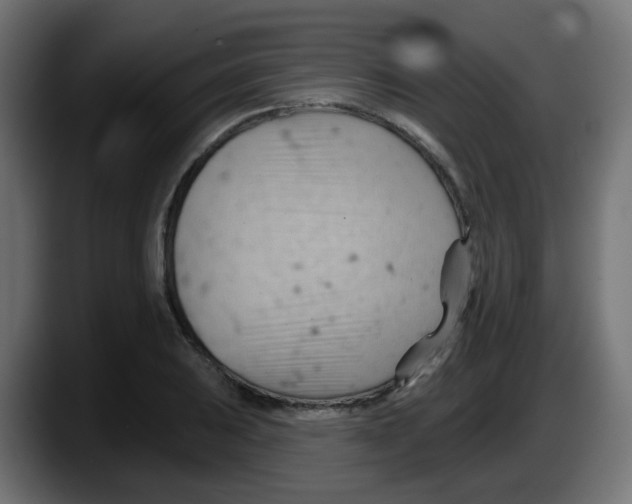 X0000087551031200705251736