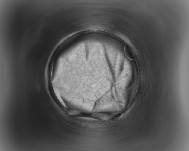 X0000087551032200705251736