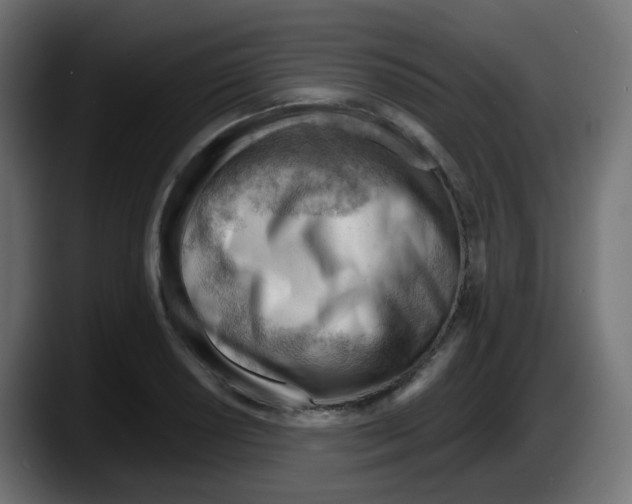 X0000087551034200705251736