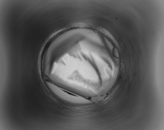 X0000087551035200705251736