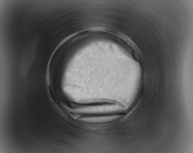 X0000087551036200705251736