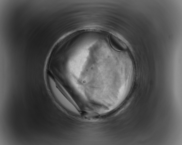 X0000087551037200705251736