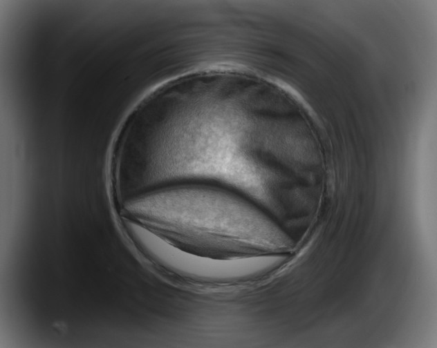 X0000087551038200705251736