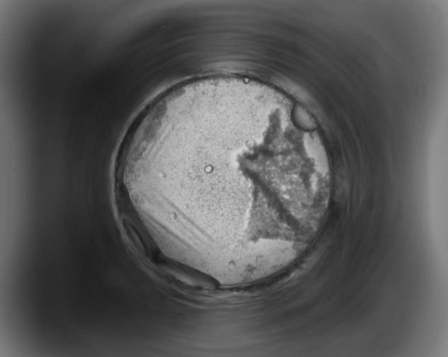 X0000087551039200705251736