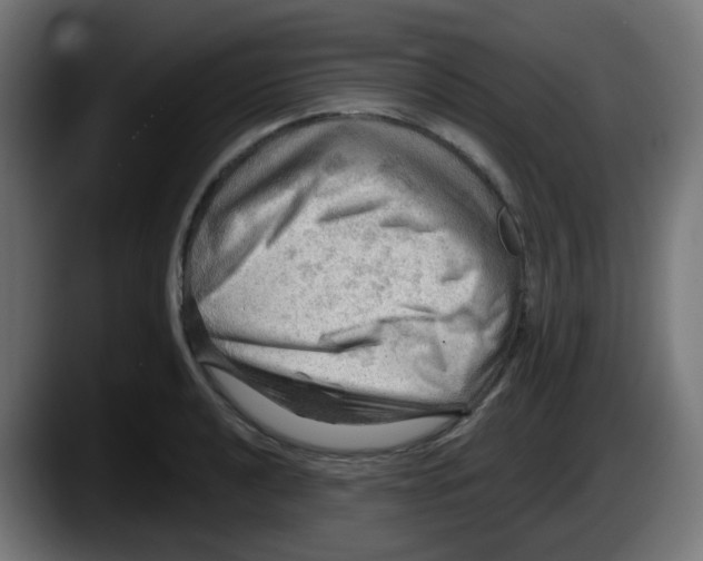 X0000087551040200705251736