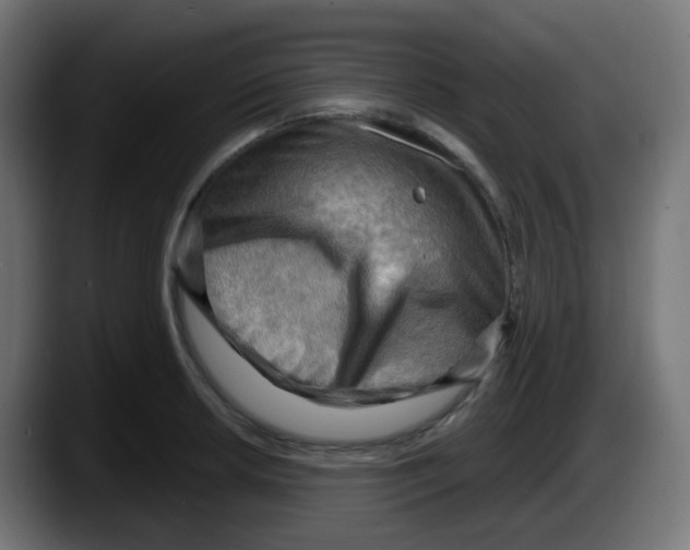 X0000087551042200705251736