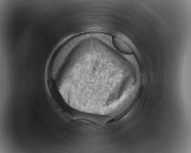 X0000087551043200705251736