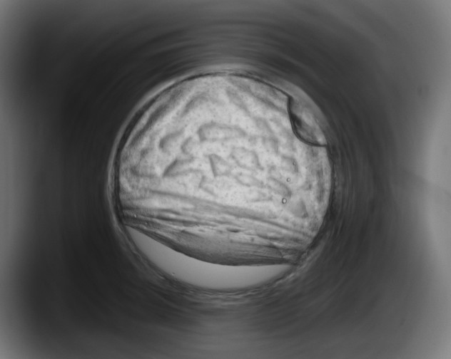 X0000087551044200705251736