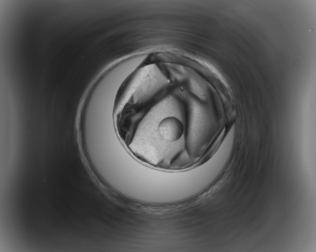 X0000087551046200705251736