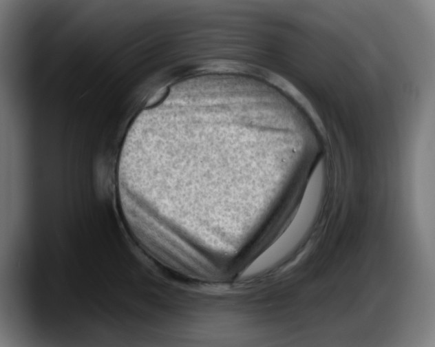 X0000087551049200705251736