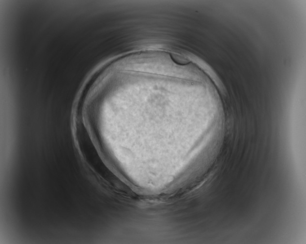 X0000087551051200705251736