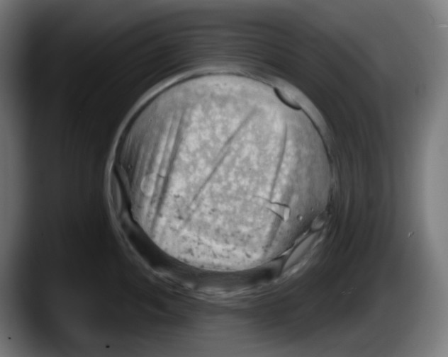 X0000087551052200705251736