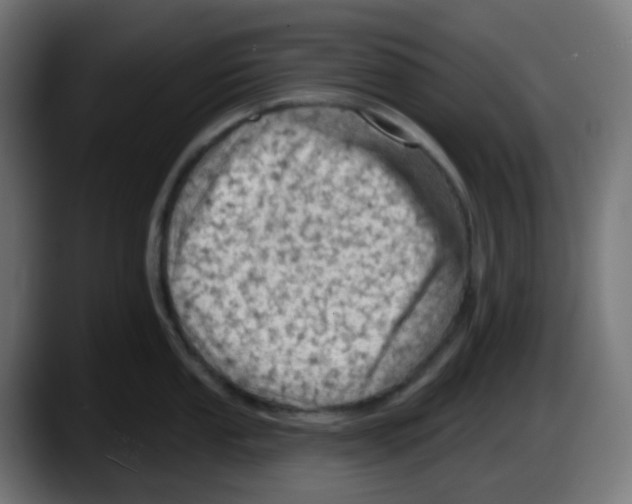 X0000087551053200705251736