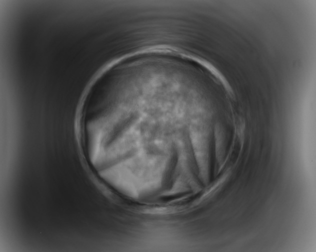 X0000087551054200705251736