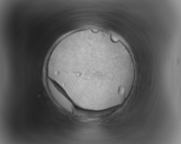 X0000087551056200705251736