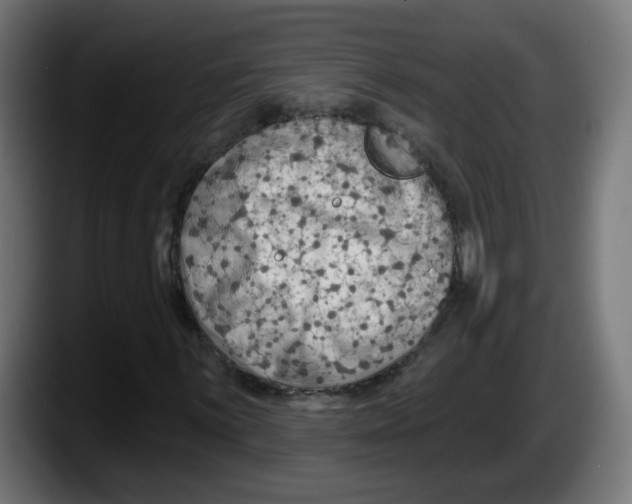 X0000087551059200705251736