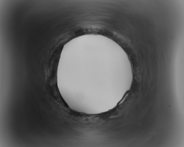 X0000087551061200705251736