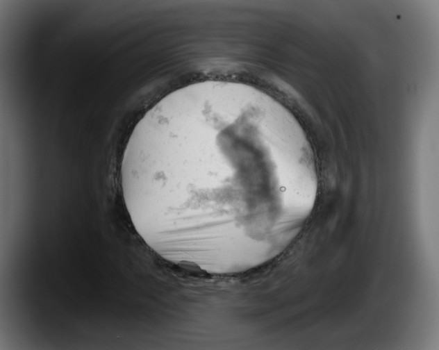 X0000087551063200705251735