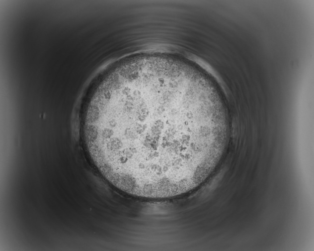 X0000087551067200705251735