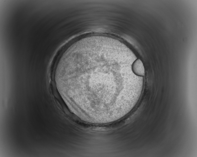 X0000087551070200705251735