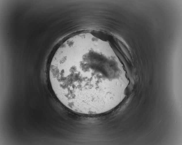 X0000087551071200705251735