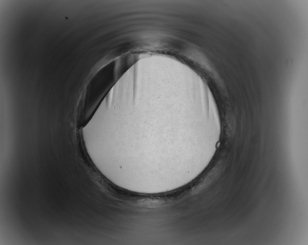 X0000087551073200705251735