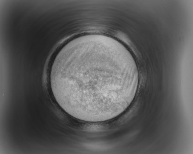 X0000087551074200705251735