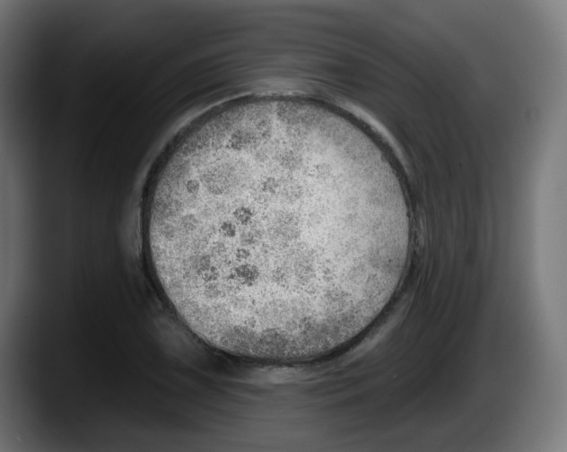 X0000087551075200705251735