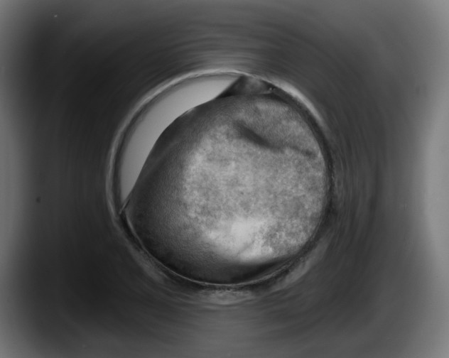 X0000087551077200705251735