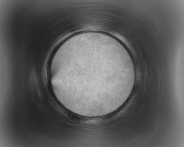 X0000087551078200705251735