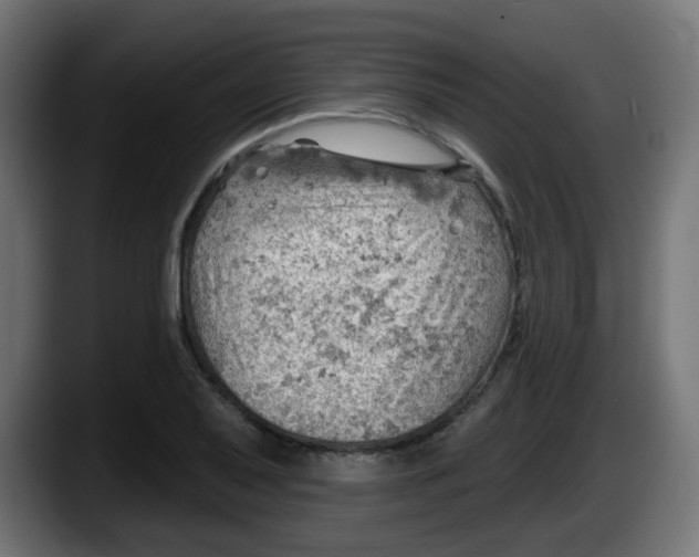 X0000087551079200705251735