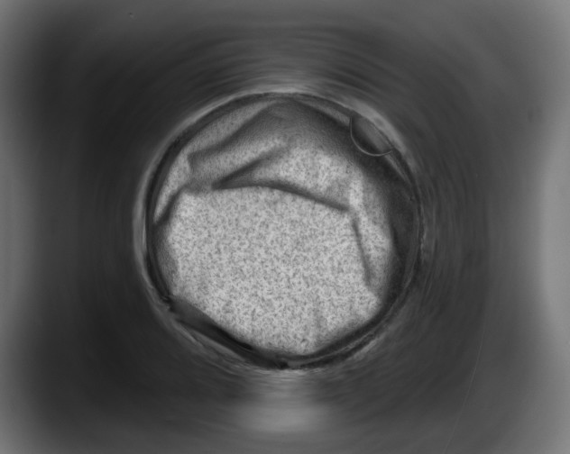 X0000087551080200705251735