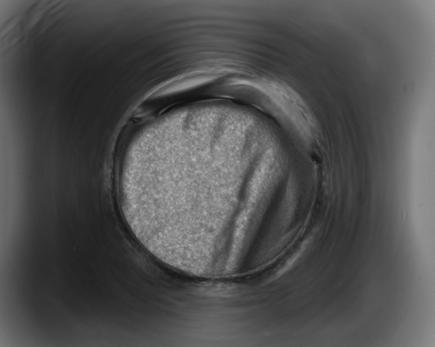 X0000087551081200705251735