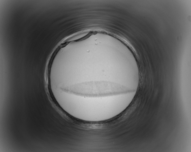 X0000087551084200705251735