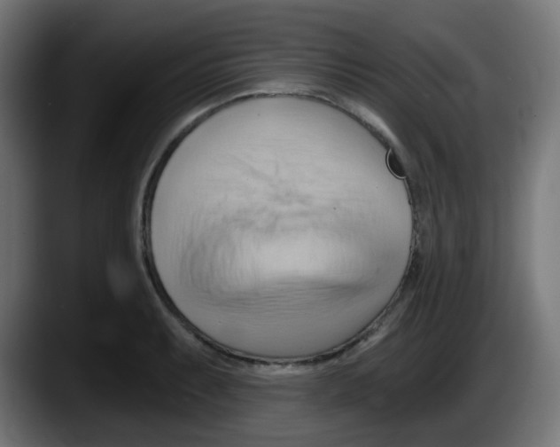 X0000087551087200705251735