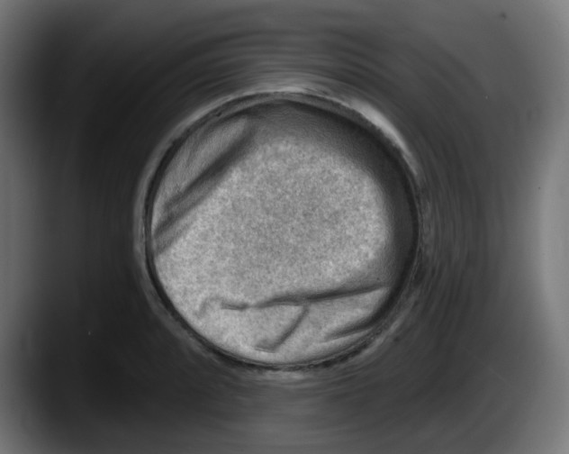 X0000087551088200705251735