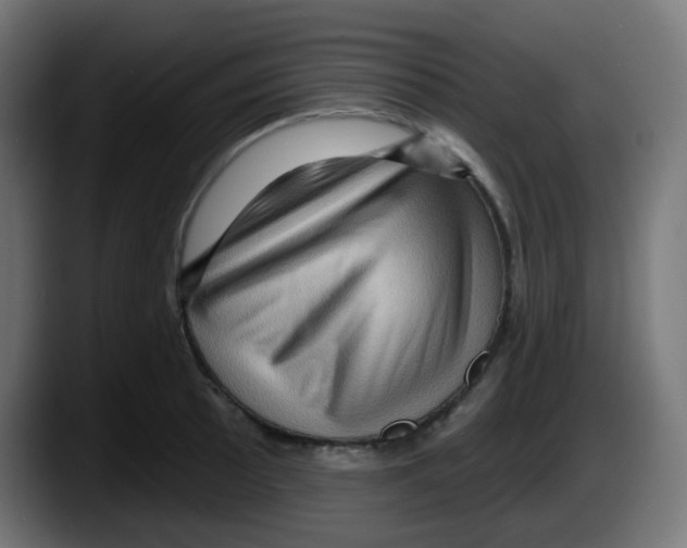 X0000087551089200705251735