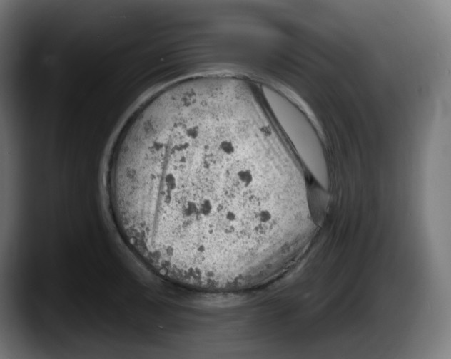 X0000087551091200705251735