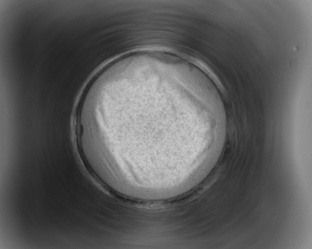 X0000087551092200705251735