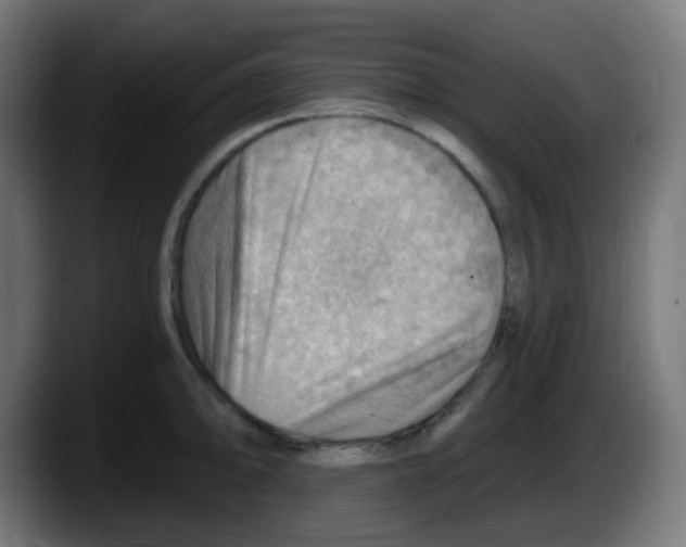 X0000087551094200705251735